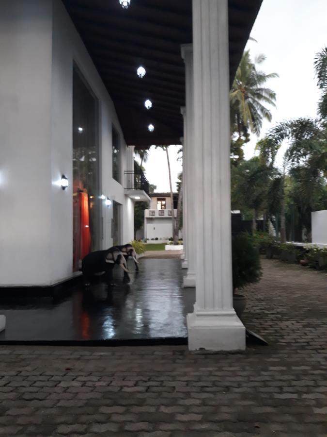 The Kingston Hotel كيريباثغودا المظهر الخارجي الصورة